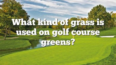 What kind of grass is used on golf course greens?