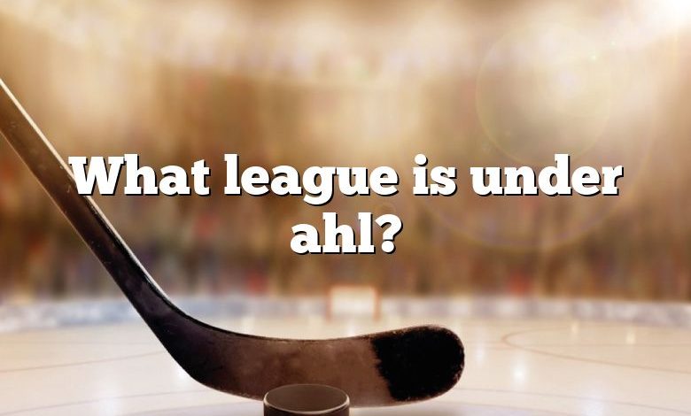 What league is under ahl?