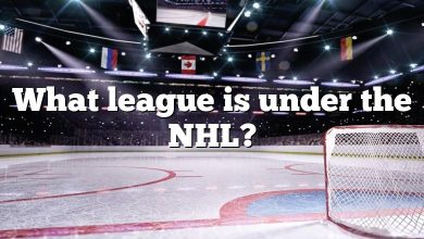 What league is under the NHL?