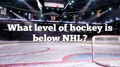 What level of hockey is below NHL?