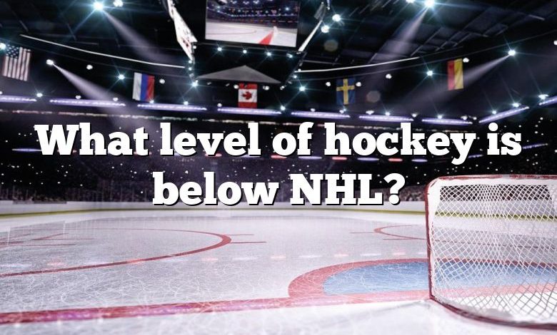 What level of hockey is below NHL?