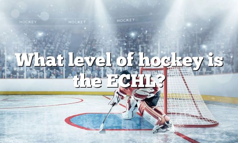 What level of hockey is the ECHL?