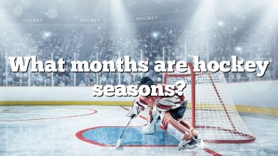 What months are hockey seasons?