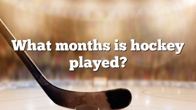 What months is hockey played?