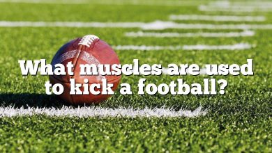 What muscles are used to kick a football?