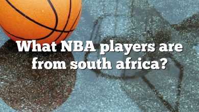 What NBA players are from south africa?