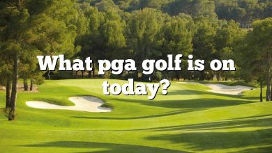 What pga golf is on today?