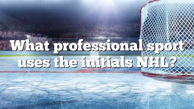 What professional sport uses the initials NHL?