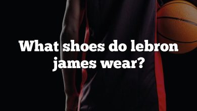 What shoes do lebron james wear?