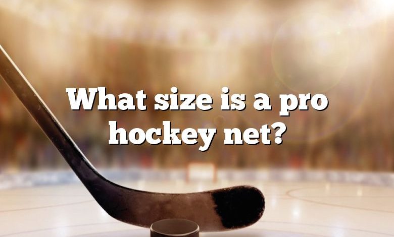 What size is a pro hockey net?