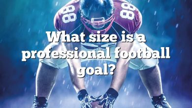 What size is a professional football goal?