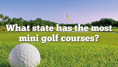 What state has the most mini golf courses?