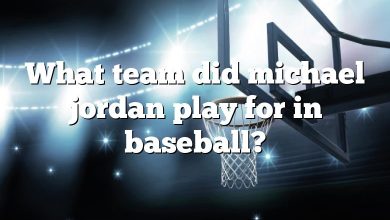 What team did michael jordan play for in baseball?