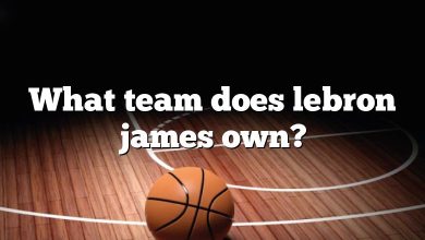 What team does lebron james own?