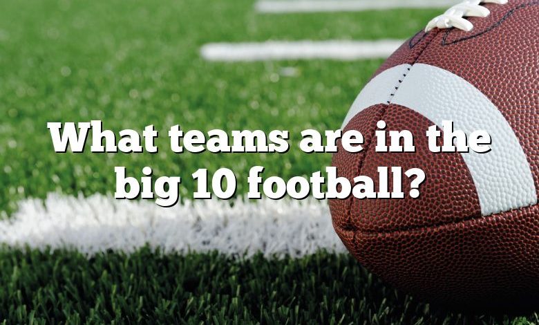What teams are in the big 10 football?