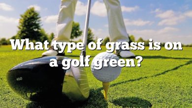 What type of grass is on a golf green?