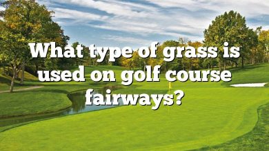 What type of grass is used on golf course fairways?