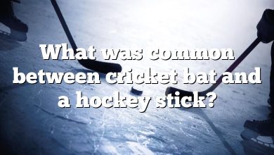 What was common between cricket bat and a hockey stick?