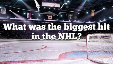What was the biggest hit in the NHL?