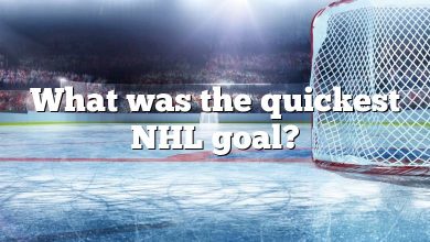 What was the quickest NHL goal?