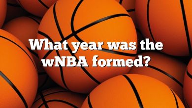 What year was the wNBA formed?