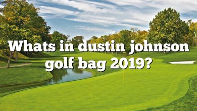 Whats in dustin johnson golf bag 2019?