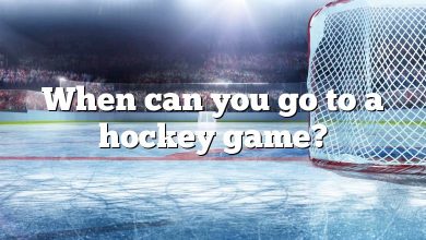 When can you go to a hockey game?
