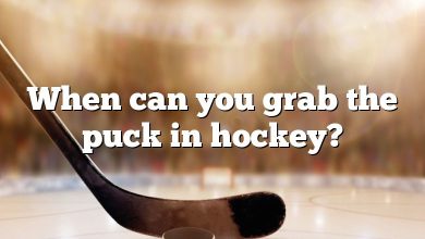 When can you grab the puck in hockey?