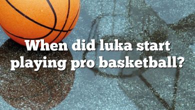 When did luka start playing pro basketball?