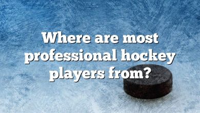 Where are most professional hockey players from?