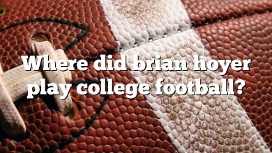 Where did brian hoyer play college football?