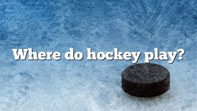 Where do hockey play?