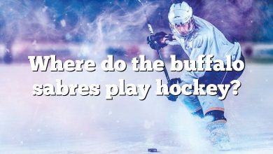 Where do the buffalo sabres play hockey?