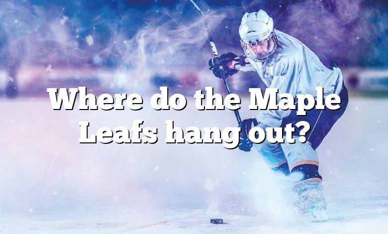 Where do the Maple Leafs hang out?