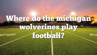 Where do the michigan wolverines play football?