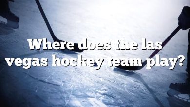 Where does the las vegas hockey team play?