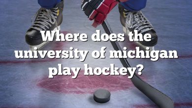 Where does the university of michigan play hockey?