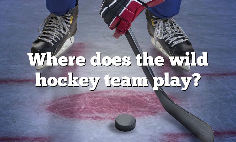 Where does the wild hockey team play?