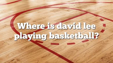 Where is david lee playing basketball?