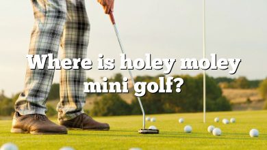 Where is holey moley mini golf?