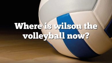 Where is wilson the volleyball now?