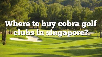 Where to buy cobra golf clubs in singapore?