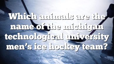 Which animals are the name of the michigan technological university men’s ice hockey team?