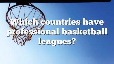 Which countries have professional basketball leagues?