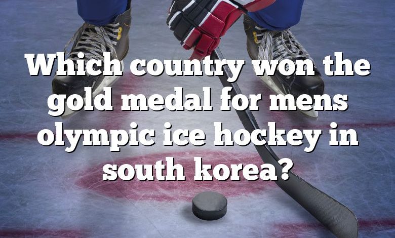 Which country won the gold medal for mens olympic ice hockey in south korea?