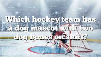 Which hockey team has a dog mascot with two dog bones on shirt?