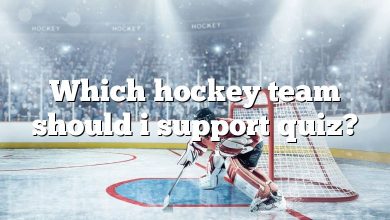 Which hockey team should i support quiz?