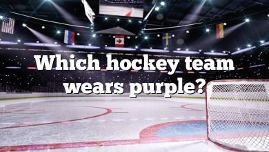 Which hockey team wears purple?