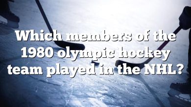 Which members of the 1980 olympic hockey team played in the NHL?