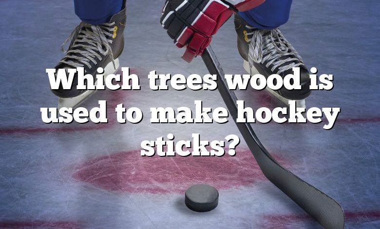Which trees wood is used to make hockey sticks?